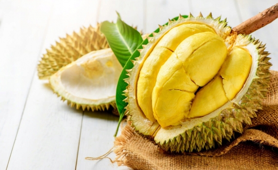 Lý do nên lắp đặt kho lạnh bảo quản sầu riêng